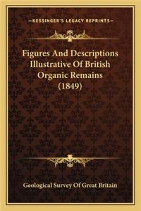 Figures and Descriptions Illustrative of British Organic Remains (1849)