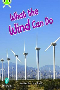 Bug Club Phonics Non-Fiction Year 1 Phase 5 Unit 16 What the Wind Can Do