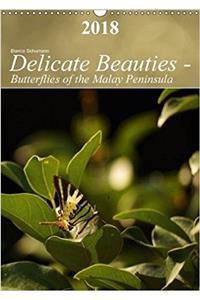 Delicate Beauties - Butterflies of the Malay Peninsula 2018