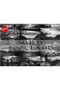 Wild Scotland 2018
