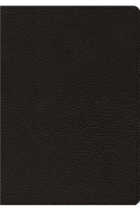 ESV Heirloom Study Bible