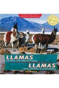 Llamas and Other Latin American Camels / Llamas Y Otros Camélidos de Latinoamérica