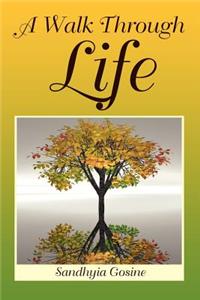 Walk Through Life