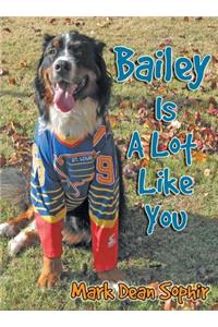 Bailey Is a Lot Like You