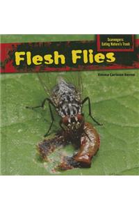 Flesh Flies