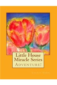 Little House Miracle Series