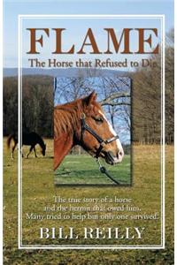 Flame - The Horse That Refused to Die