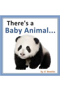There's a Baby Animal...