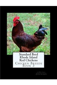 Standard Bred Rhode Island Red Chickens