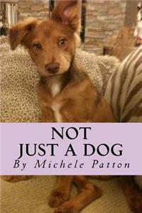 Not Just A Dog