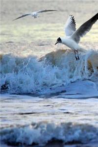 Seagulls at the Seashore Journal
