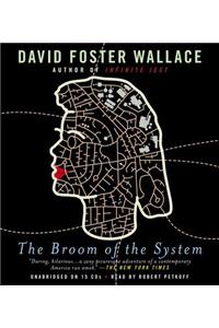 The Broom of the System