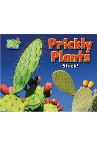 Prickly Plants