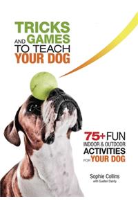 Tricks and Games to Teach Your Dog