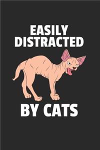 Katze Kätzchen Notizbuch