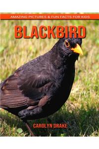 Blackbird