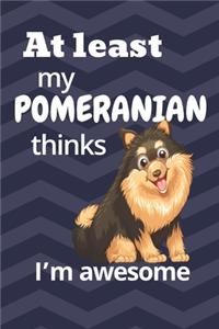 At least My Pomeranian thinks I'm awesome