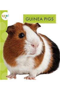 Guinea Pigs