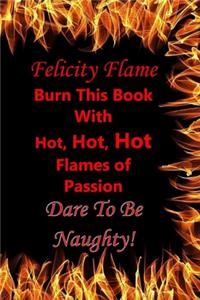 Felicity Flame, Burn This Book with Hot, Hot, Hot Flames of Passion, Dare to Be Naughty!