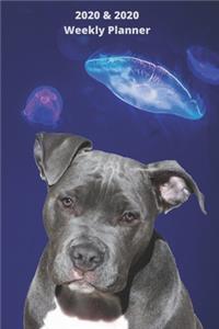 2020 & 2021 Two-Year Weekly Planner For Pitbull Owner Gift - Funny Quote Appointment Book - Two Year Daily Agenda Notebook With Staffordshire Terrier Dog