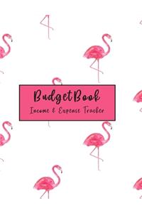 Budget Book Income and Expense Tracker