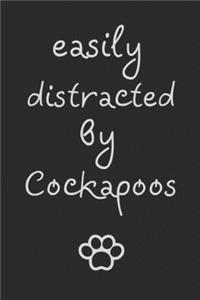 Easily distracted by Cockapoos