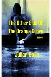 Other Side Of The Orange Grove