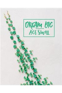 Dream Big, Act Small