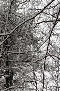 2019 Daily Planner Winter Season Scenic Branches 384 Pages