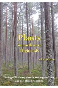 Plants in North-East Highlands