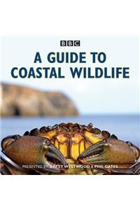 A Guide to Coastal Wildlife
