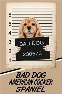 Bad Dog American Cocker Spaniel