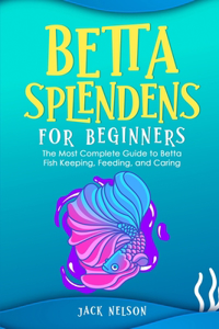 Betta Splendens for Beginners