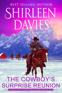 Cowboy's Surprise Reunion