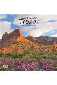 Texas Wild & Scenic 2020 Mini 7x7