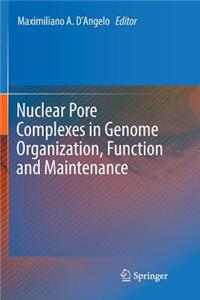 Nuclear Pore Complexes in Genome Organization, Function and Maintenance