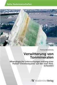 Verwitterung Von Tonmineralen