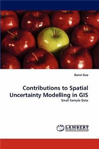 Contributions to Spatial Uncertainty Modelling in GIS