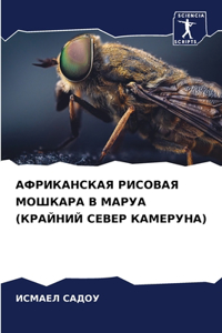 АФРИКАНСКАЯ РИСОВАЯ МОШКАРА В МАРУА (КРАЙi