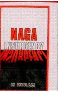 Nga Insurgency