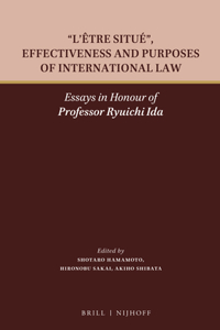 L'Être Situé, Effectiveness and Purposes of International Law