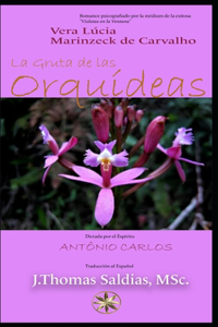 Gruta de las Orquídeas
