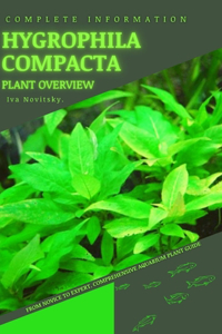 Hygrophila Compacta