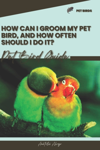 How can I groom my pet bird, and how often should I do it?