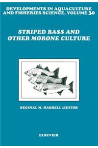 Striped Bass and Other Morone Culture