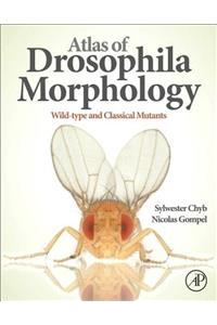 Atlas of Drosophila Morphology