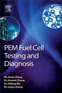 Pem Fuel Cell Testing and Diagnosis