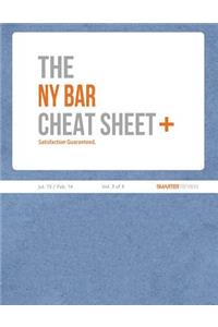 The NY Bar Cheat Sheet Plus (Vol. 3 of 3)