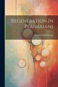 Regeneration In Planarians