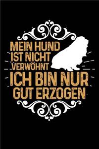 Nicht Verwöhnt (Ckc Spaniel)